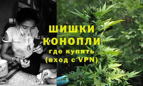 круглые Белокуриха