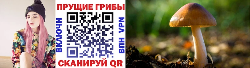Галлюциногенные грибы мухоморы  Реж 